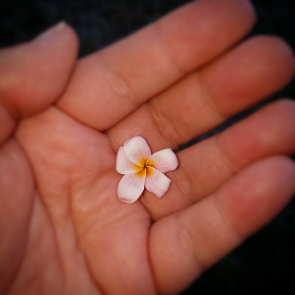 Posh Ambassador Bree - Picture 4 of 7